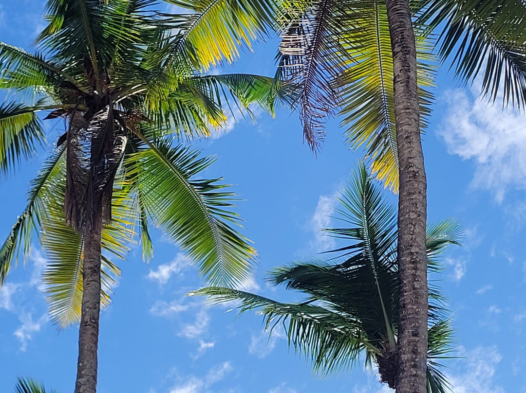 Playa Ejecutiva景点图片