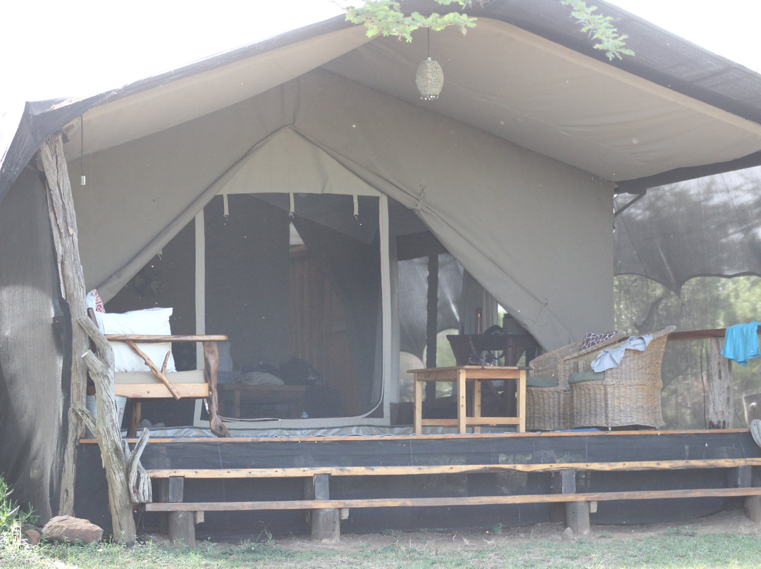 Ekorian's Mugie Camp主图