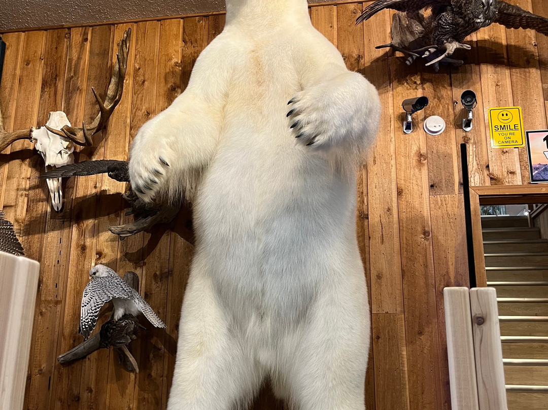 Canadian Wildlife Museum景点图片