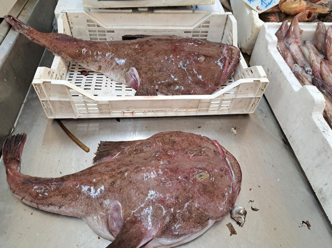 Mercato del Pesce di Trapani-特拉帕尼省必去景点