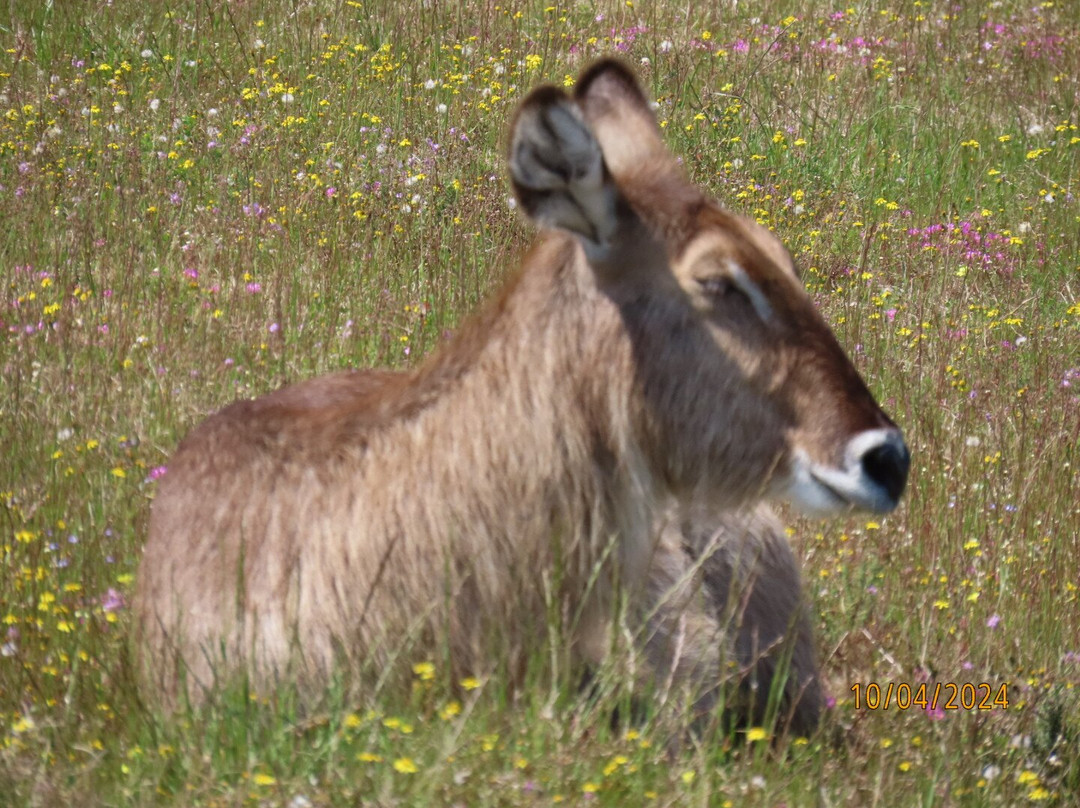 CapeXtreme Adventure Tours-开普敦中心区必去景点