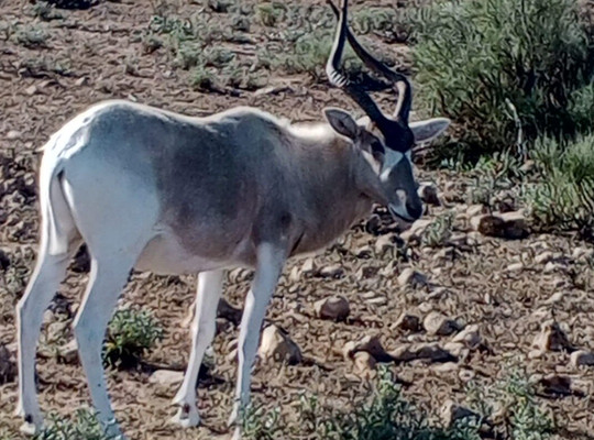 Globale Explore Tours-阿加迪尔必去景点