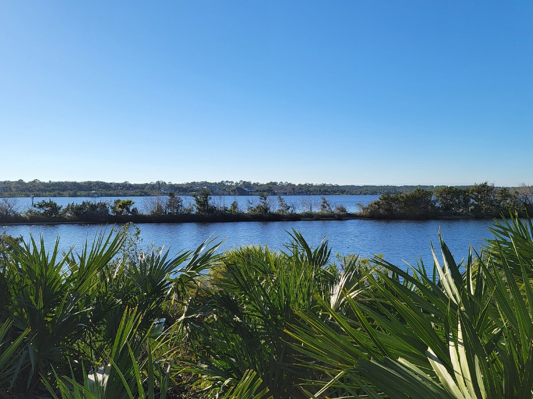 Tomoka State Park-奥蒙德海滩必去景点