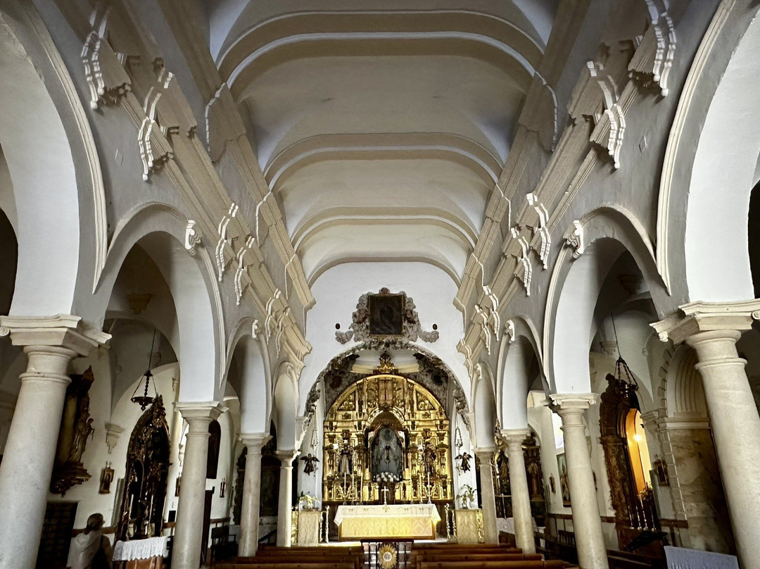 Church of San Francisco de Asis景点图片