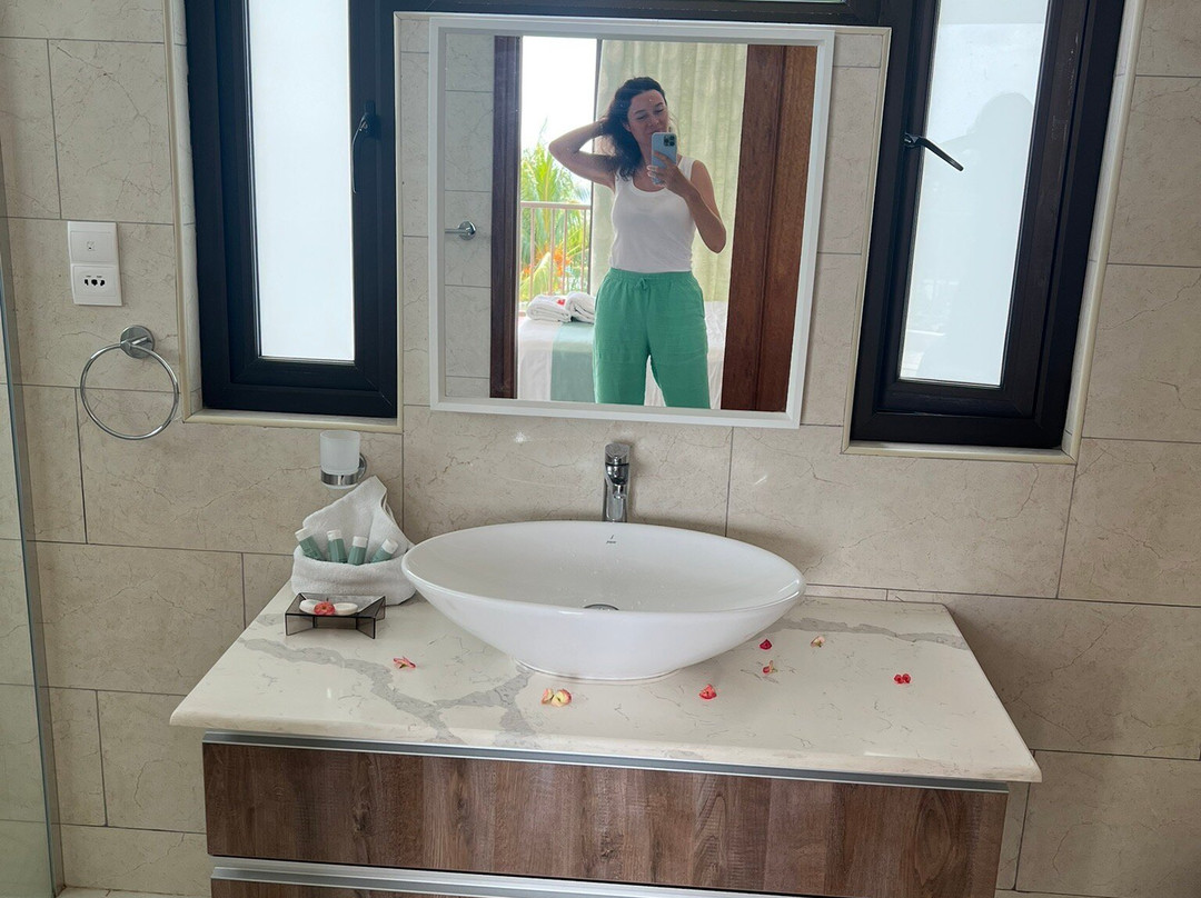 Villa Rousseau主图