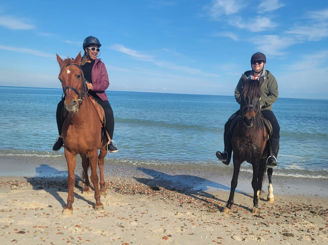 Barka Equestrian Center