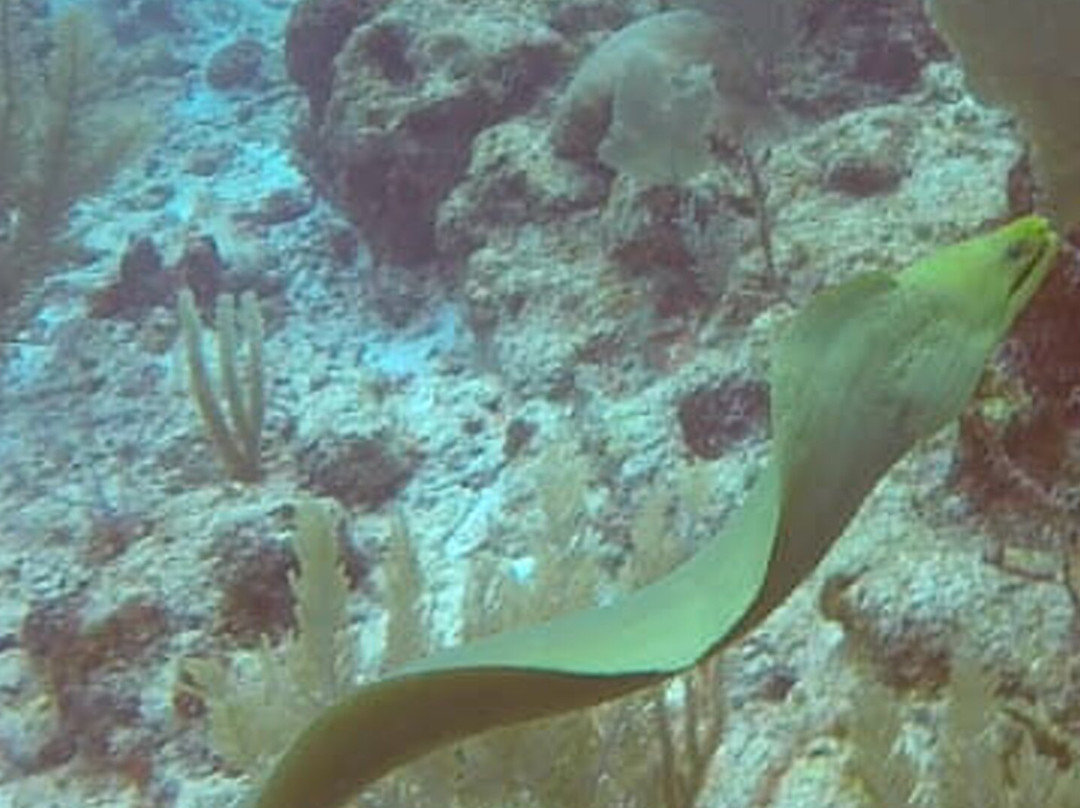 Akumal Dive Center-艾库玛尔必去景点