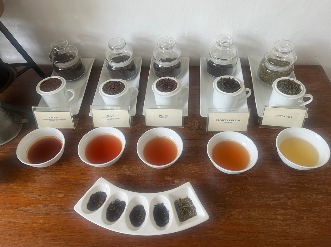 Karunakarala Travels-Waikkal必去景点