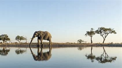Okavango Delta-马翁必去景点