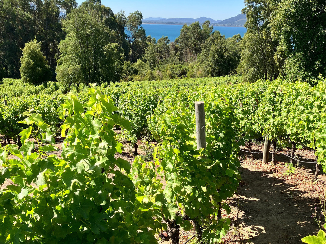 Experiencia Laberinto-Colbun必去景点