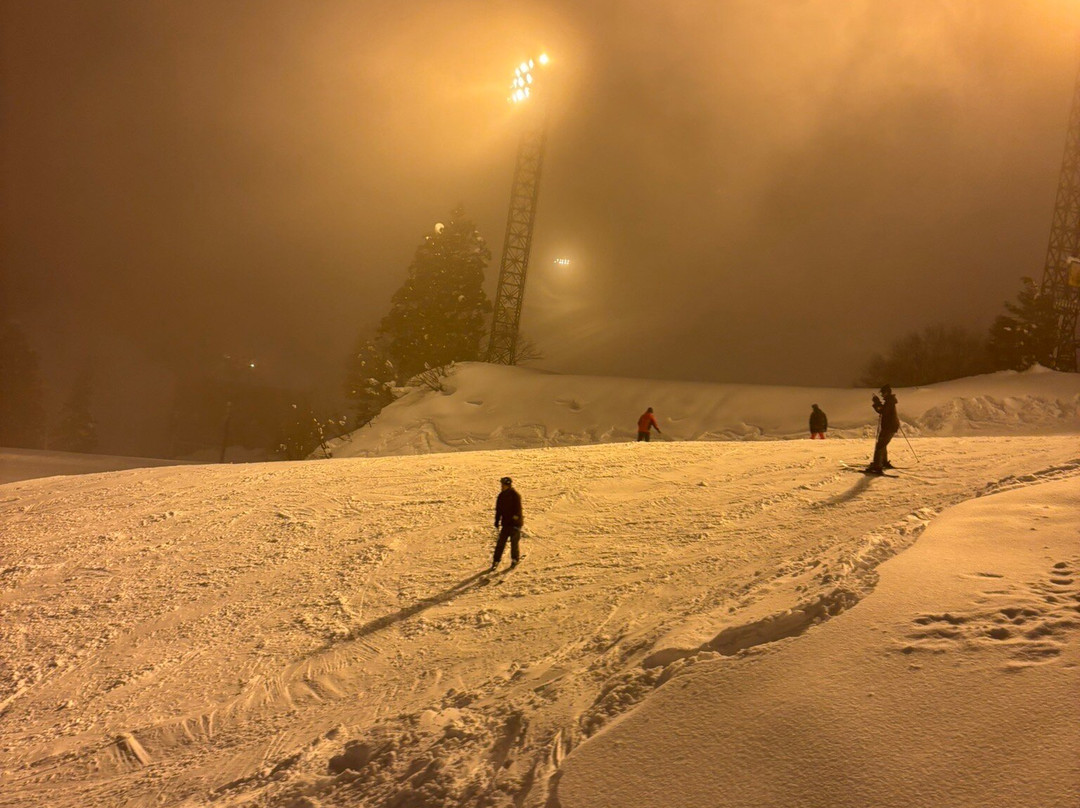 Jyoetsu International Ski Area-南鱼沼市必去景点