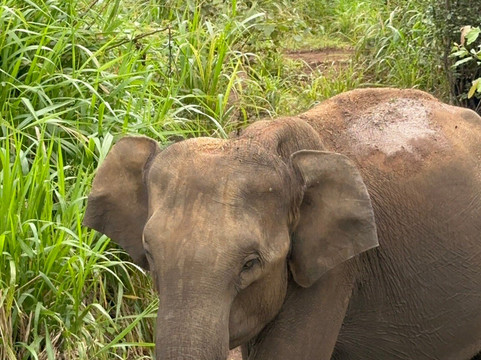 New Travel-卡图纳耶克必去景点