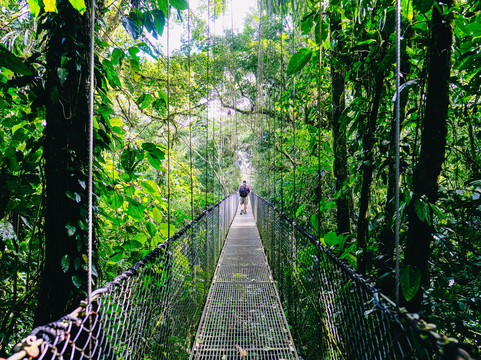 Refined Tours-利比里亚必去景点