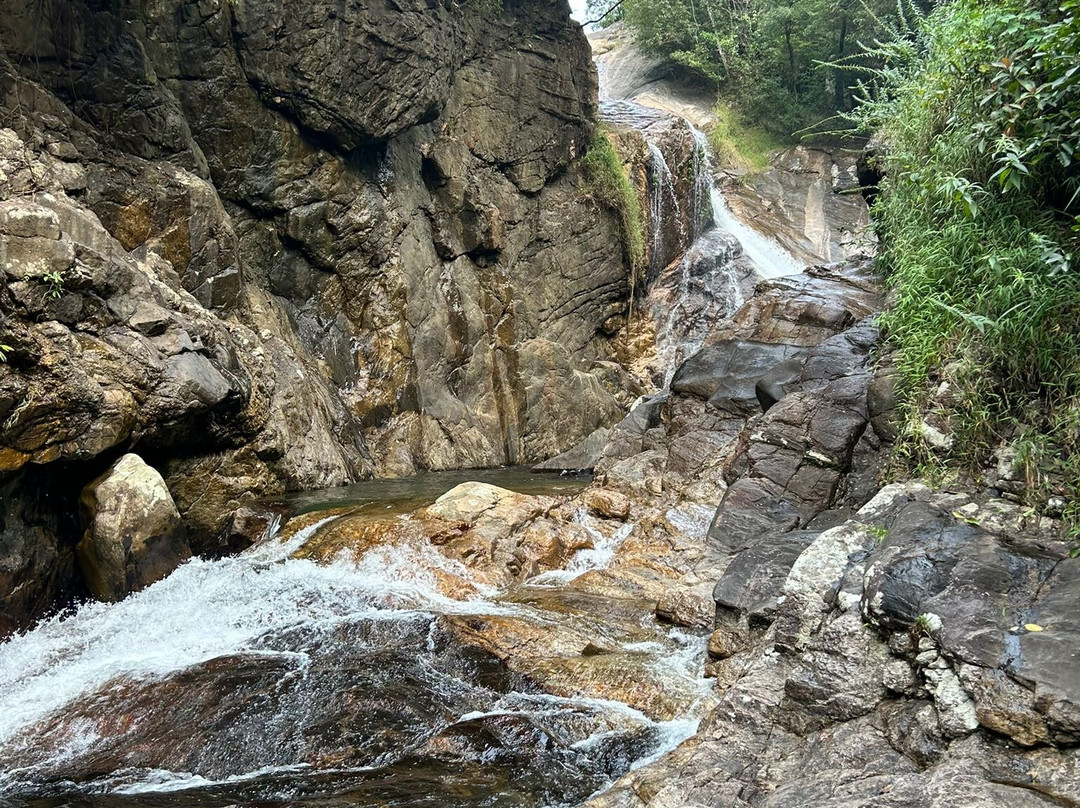 Knuckles Nature Tours景点图片