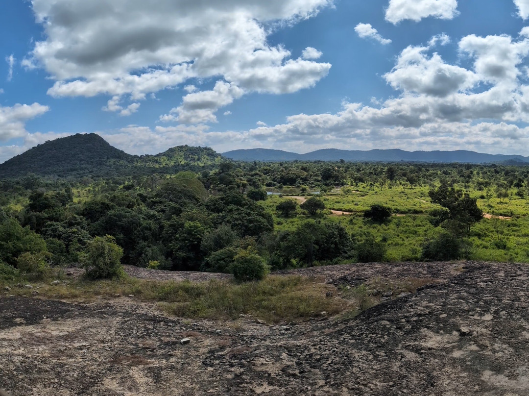 Jeep Safari With Gayan景点图片
