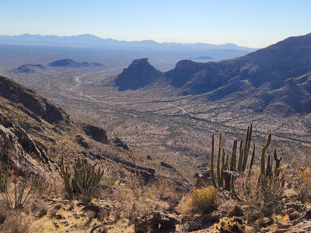 Organ Pipe Cactus National Monument-Ajo必去景点