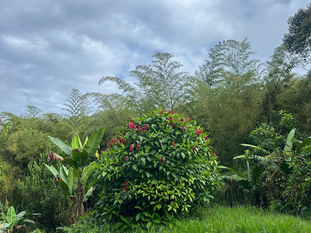 Maquipucuna Reserve-基多必去景点
