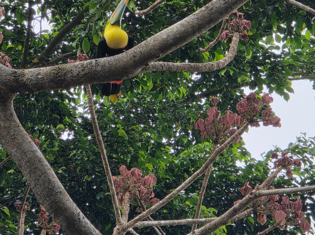 Ancon Hill-巴拿马城必去景点