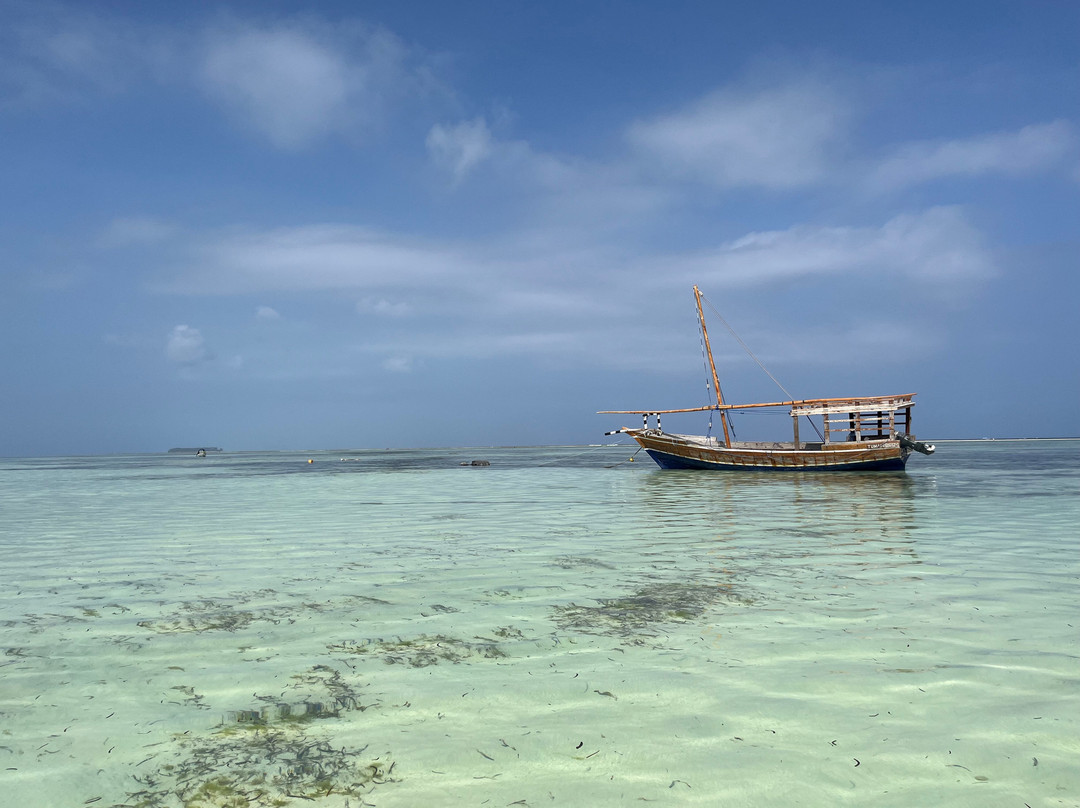 Marafiki Beach Hotel - Anza