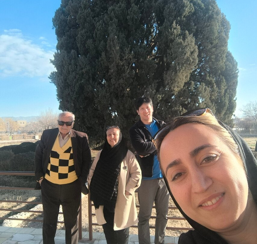 Cypress of Abarkuh景点图片