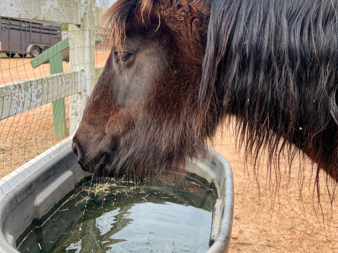 Full Circle Farm Sanctuary-Warm Springs必去景点
