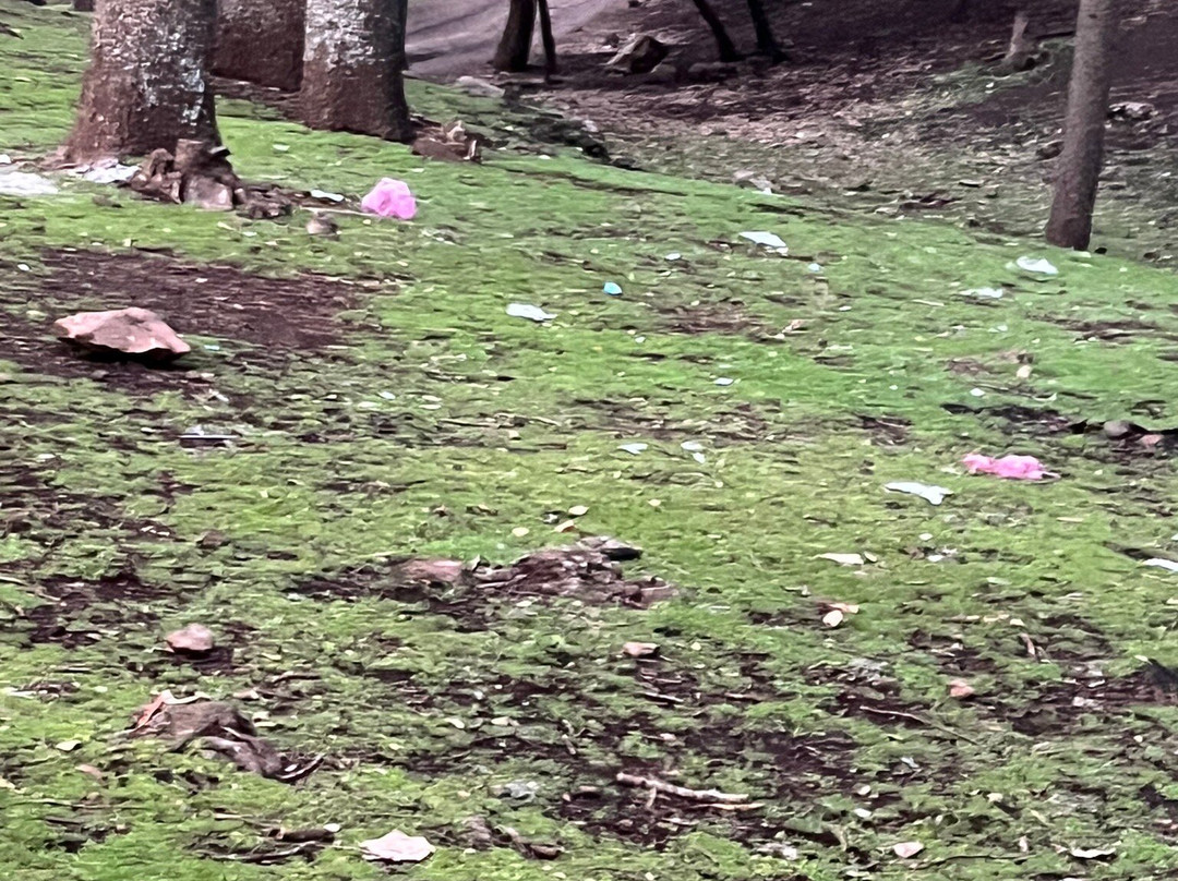 Cèdre Gouraud-Azrou必去景点