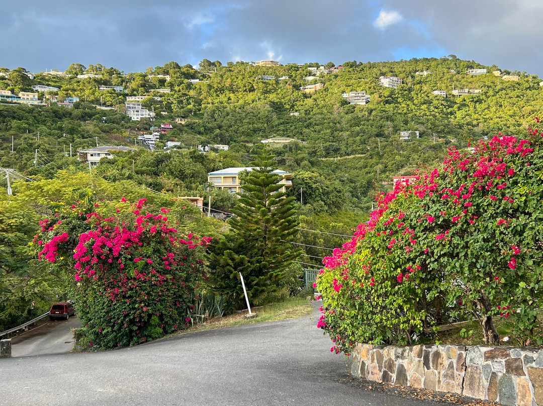 The Green Iguana Hotel主图