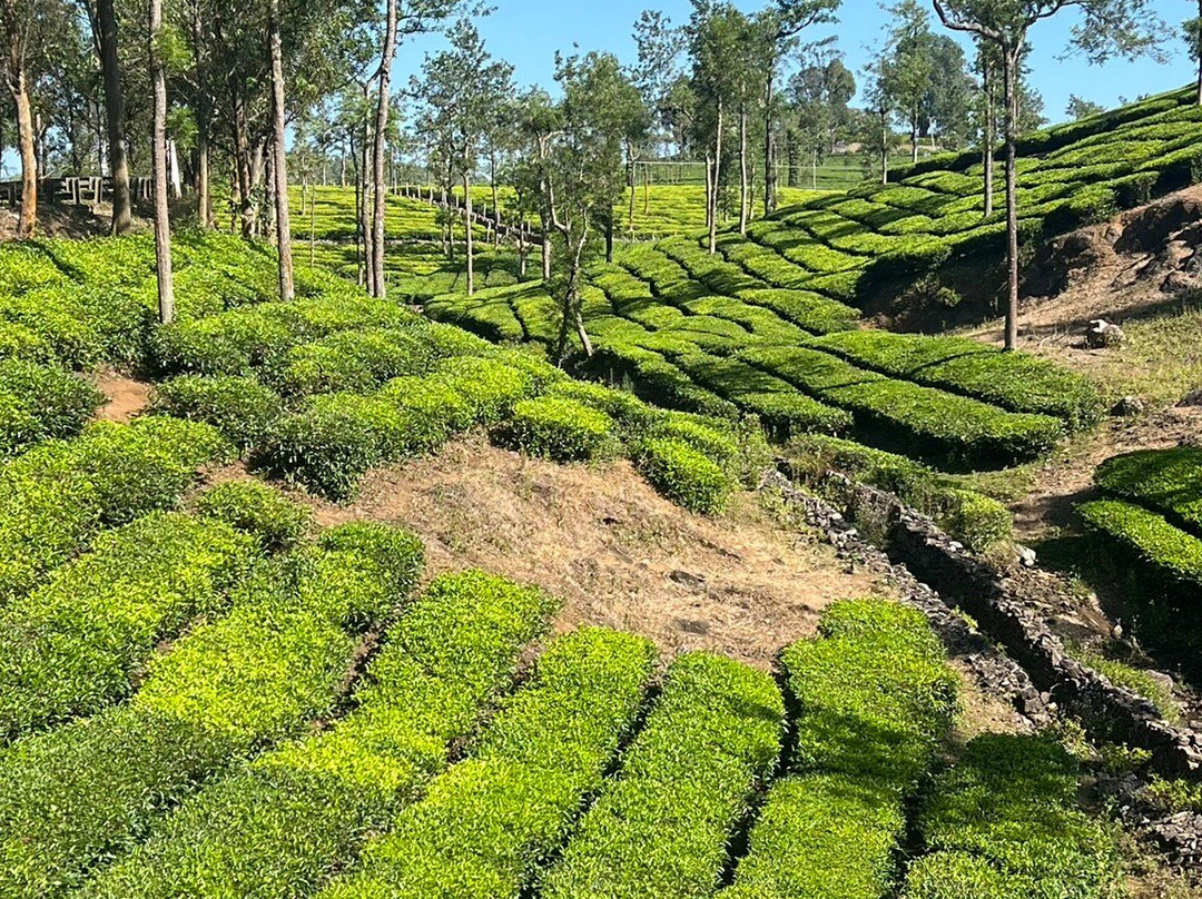 The Pattumalai Church-Vagamon必去景点