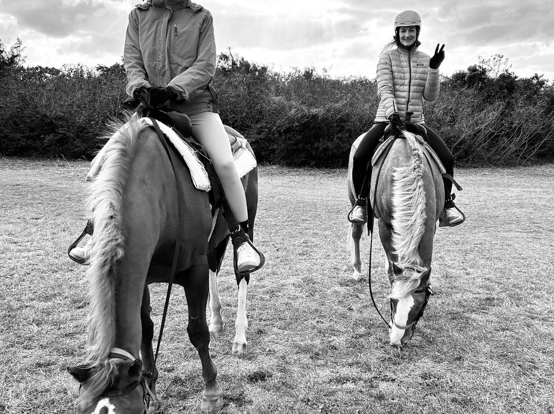 Okinawa Horse Riding Club-读谷村必去景点
