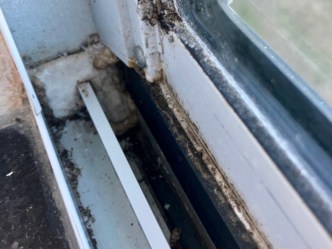 米利奇维尔费尔菲尔德旅馆&套房酒店主图