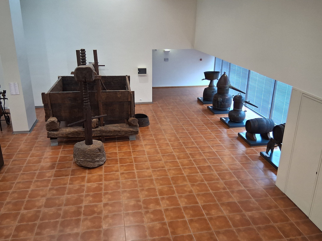 Museu Do Vinho Da Bairrada景点图片