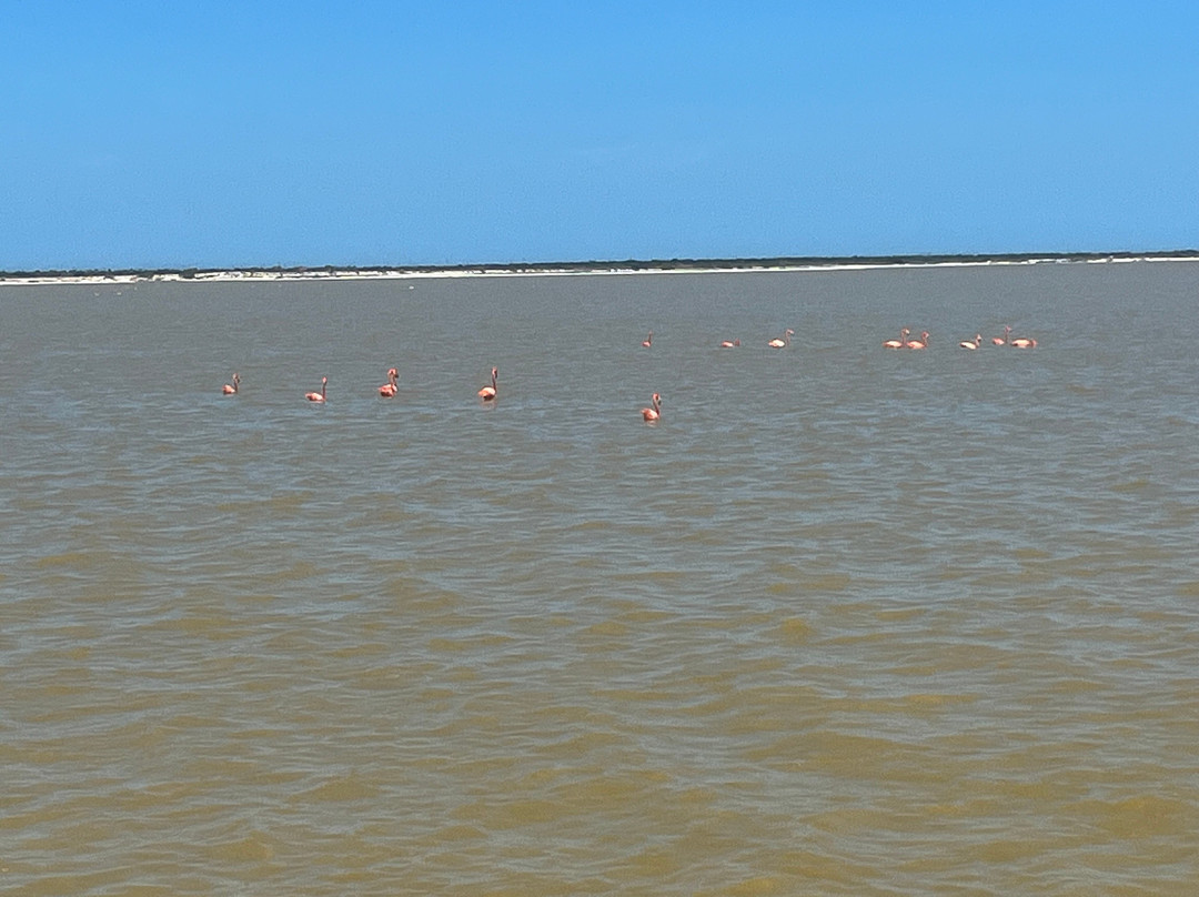 Parque Natural Ria Lagartos景点图片