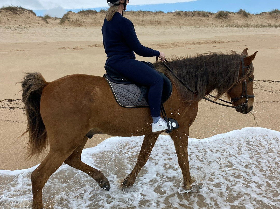 Eco Salgados Agroturismo-佩尼切必去景点