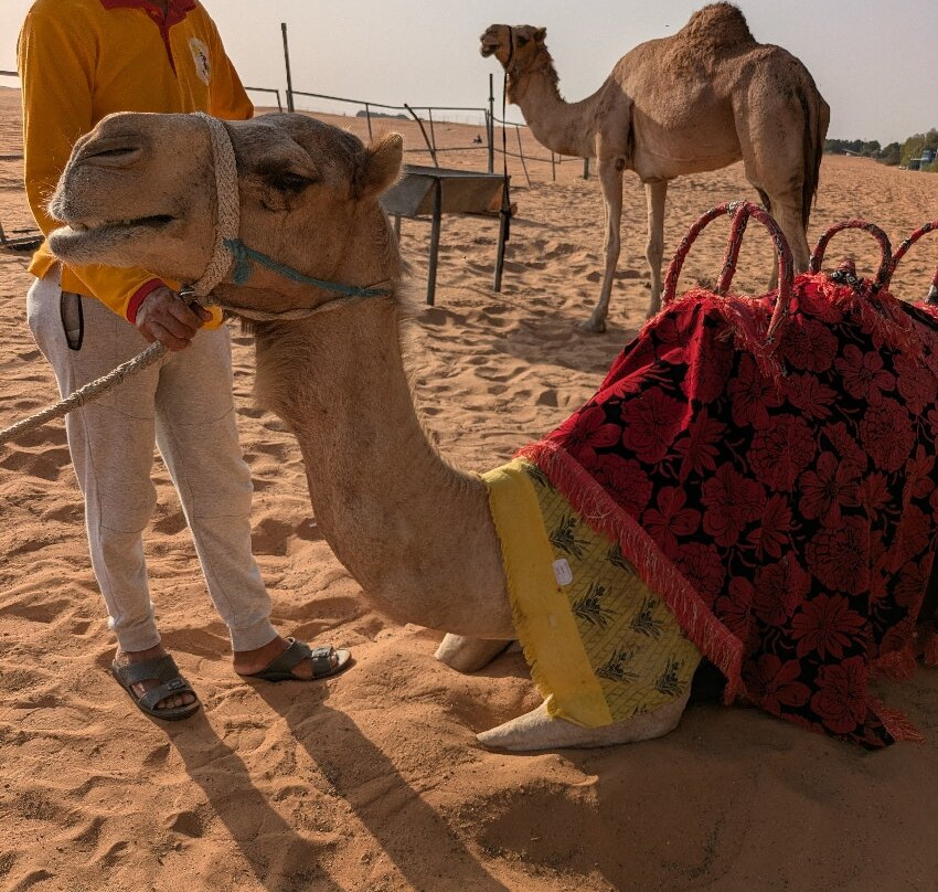 Desert Explorers Tourism-迪拜必去景点