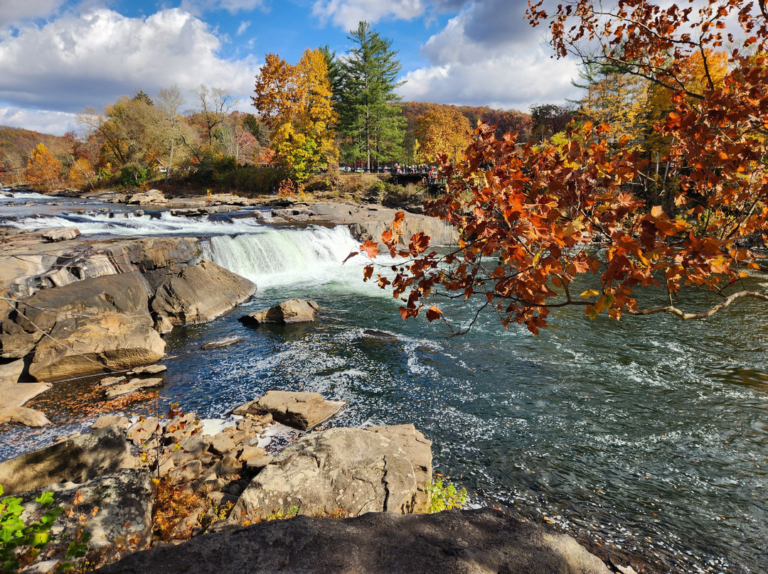 Ohiopyle State Park景点图片