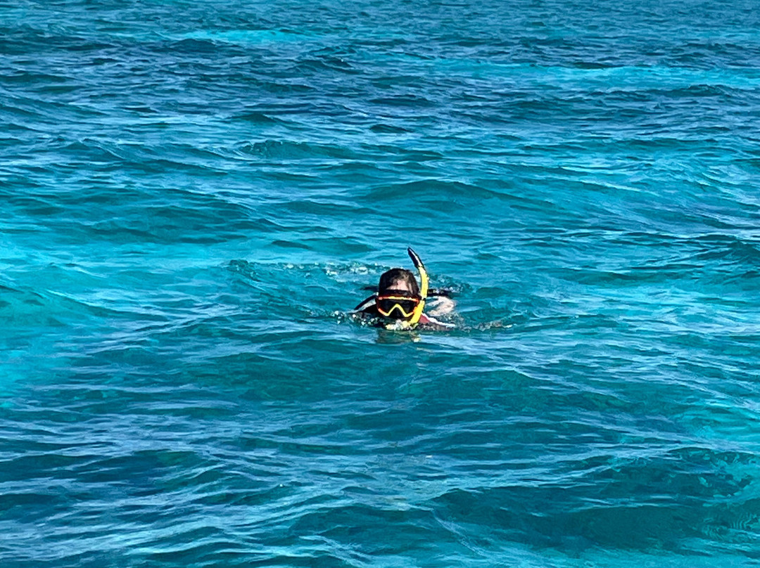 FL Keys Unique Diving-拉哥岛必去景点