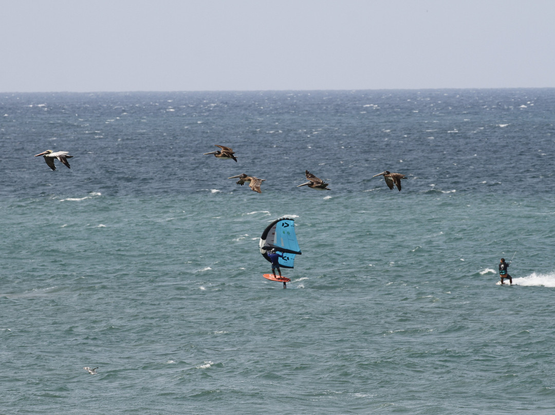 Kite Ecuador景点图片