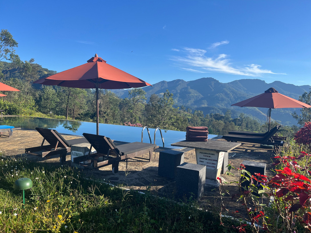 玛杜可茶园生态旅馆主图