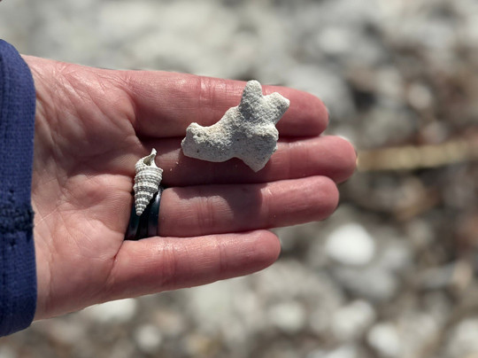 Explore Miami Boat Rental-霍姆斯特德必去景点