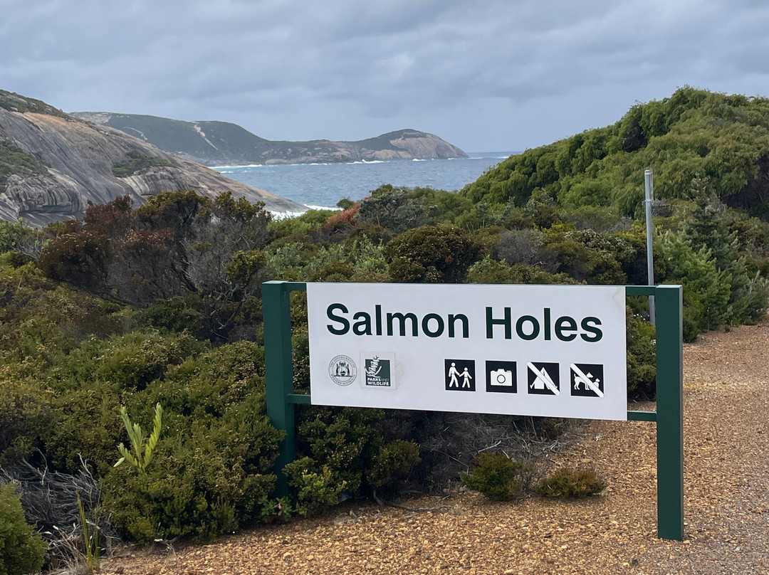 Salmon Holes-奥尔巴尼必去景点