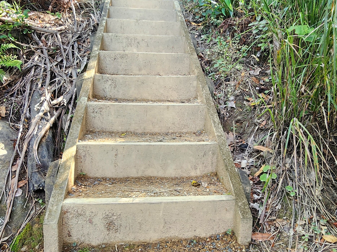 Mount Manaia Track景点图片