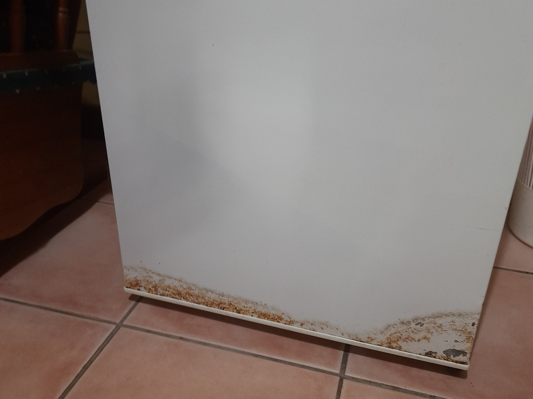 Atherton Blue Gum主图