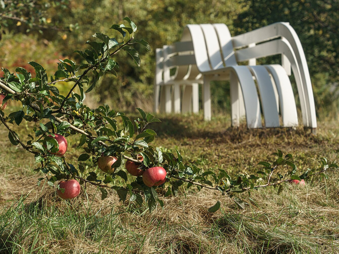 Hall Art Foundation-Reading必去景点