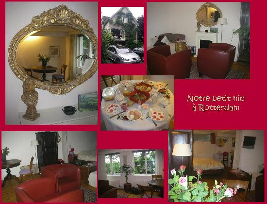 Doornroos bed & breakfast主图