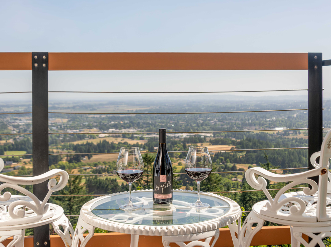 Chehalem Ridge Bed and Breakfast主图