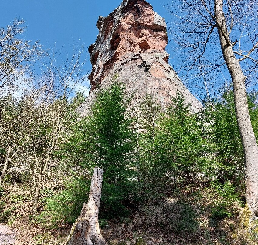 Trifels Castle景点图片