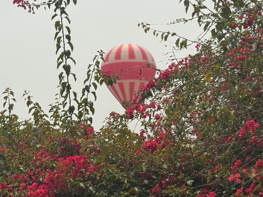 Xishuangbanna Tropical Botanical Gardens-勐腊县必去景点