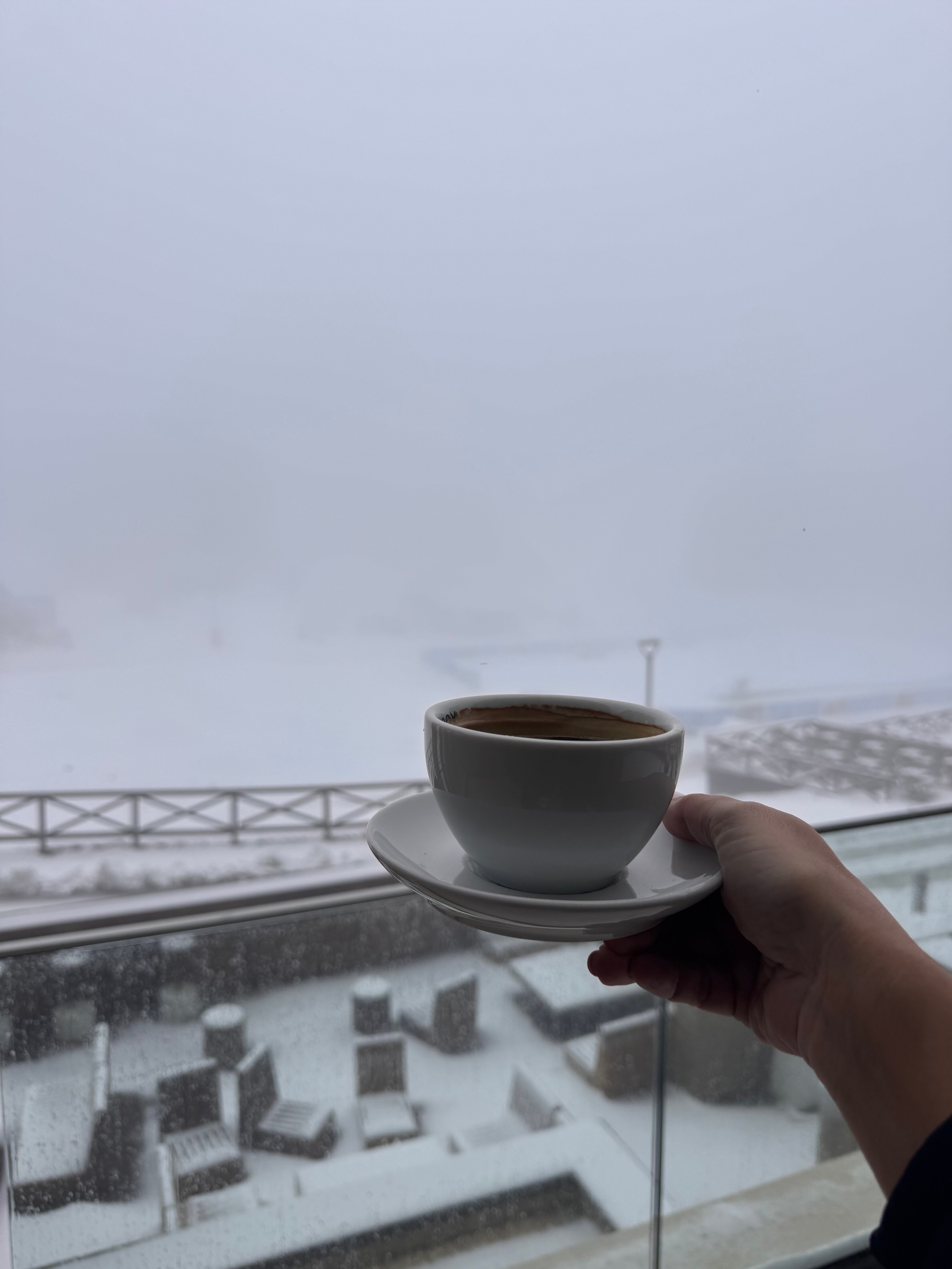 Viceroy Kopaonik Serbia-官方