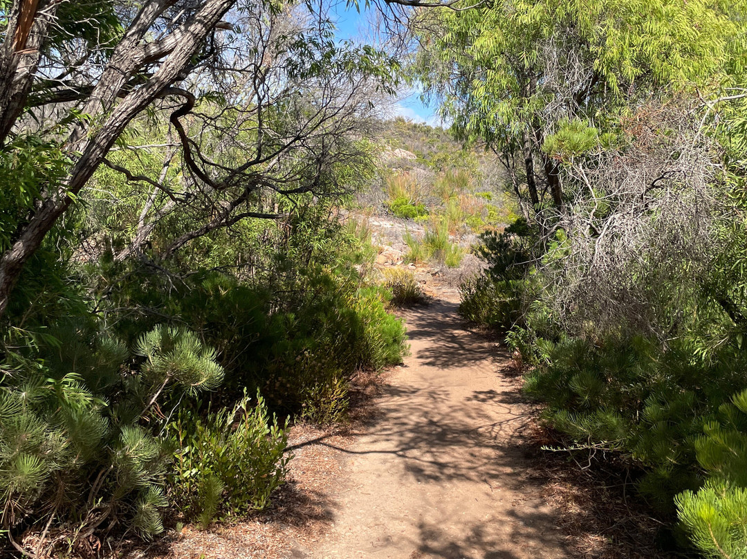 Meelup Reserve Trail景点图片