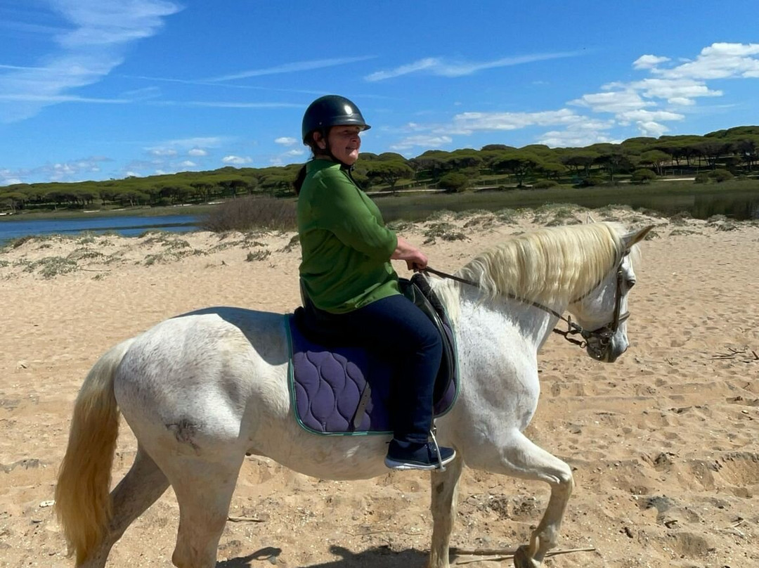 Clube Equestre A Palmeirinha景点图片